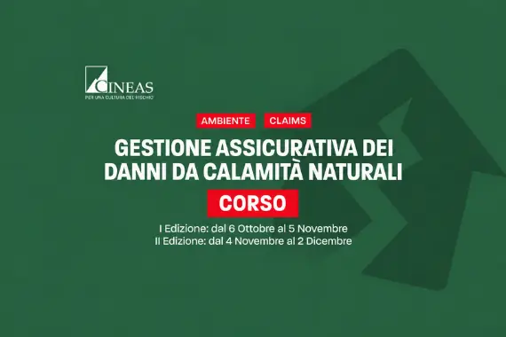 gestione assicurativa danni calamità naturali